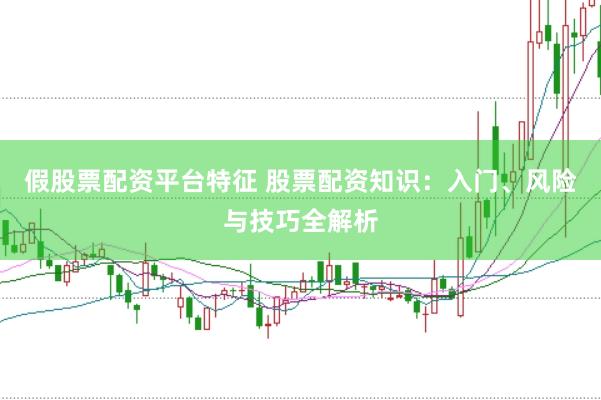假股票配资平台特征 股票配资知识：入门、风险与技巧全解析