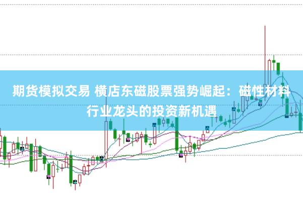 期货模拟交易 横店东磁股票强势崛起：磁性材料行业龙头的投资新机遇