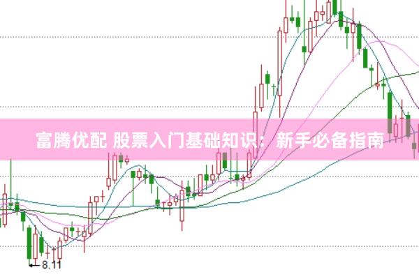 富腾优配 股票入门基础知识：新手必备指南