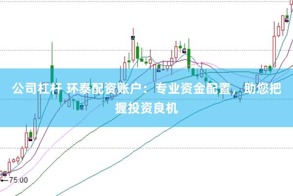 公司杠杆 环泰配资账户：专业资金配置，助您把握投资良机