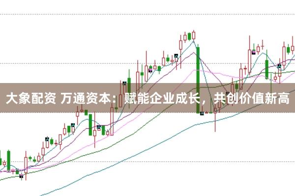 大象配资 万通资本：赋能企业成长，共创价值新高