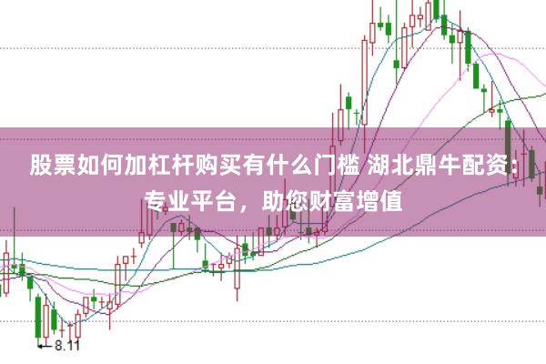 股票如何加杠杆购买有什么门槛 湖北鼎牛配资：专业平台，助您财富增值