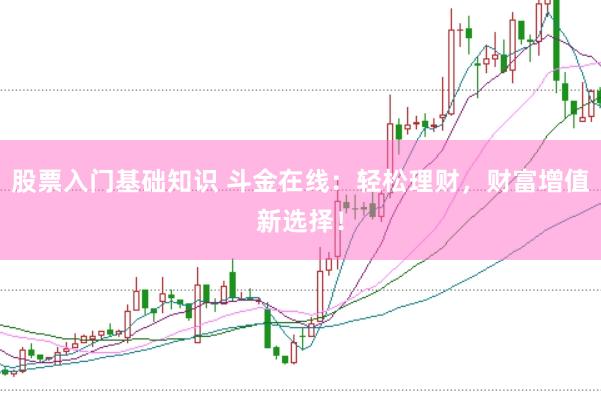 股票入门基础知识 斗金在线：轻松理财，财富增值新选择！