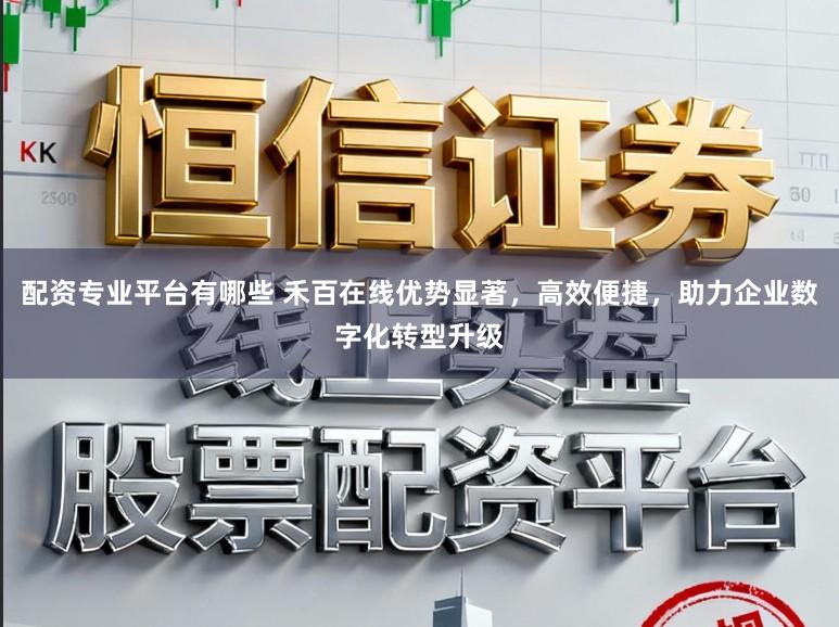 配资专业平台有哪些 禾百在线优势显著，高效便捷，助力企业数字化转型升级