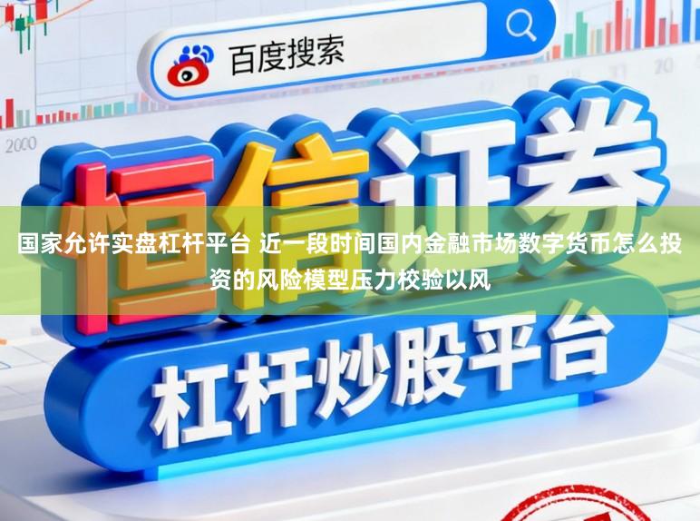 国家允许实盘杠杆平台 近一段时间国内金融市场数字货币怎么投资的风险模型压力校验以风