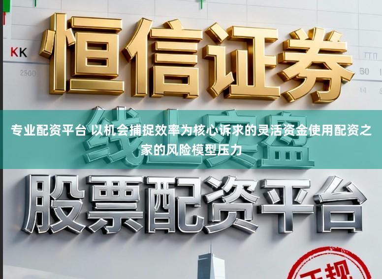 专业配资平台 以机会捕捉效率为核心诉求的灵活资金使用配资之家的风险模型压力